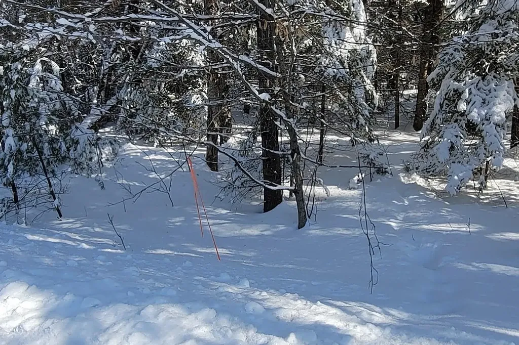 000 French Pond Road Haverhill NH 03765