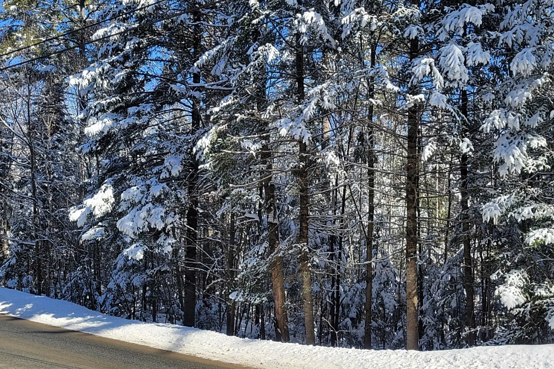 000 French Pond Road Haverhill NH 03765