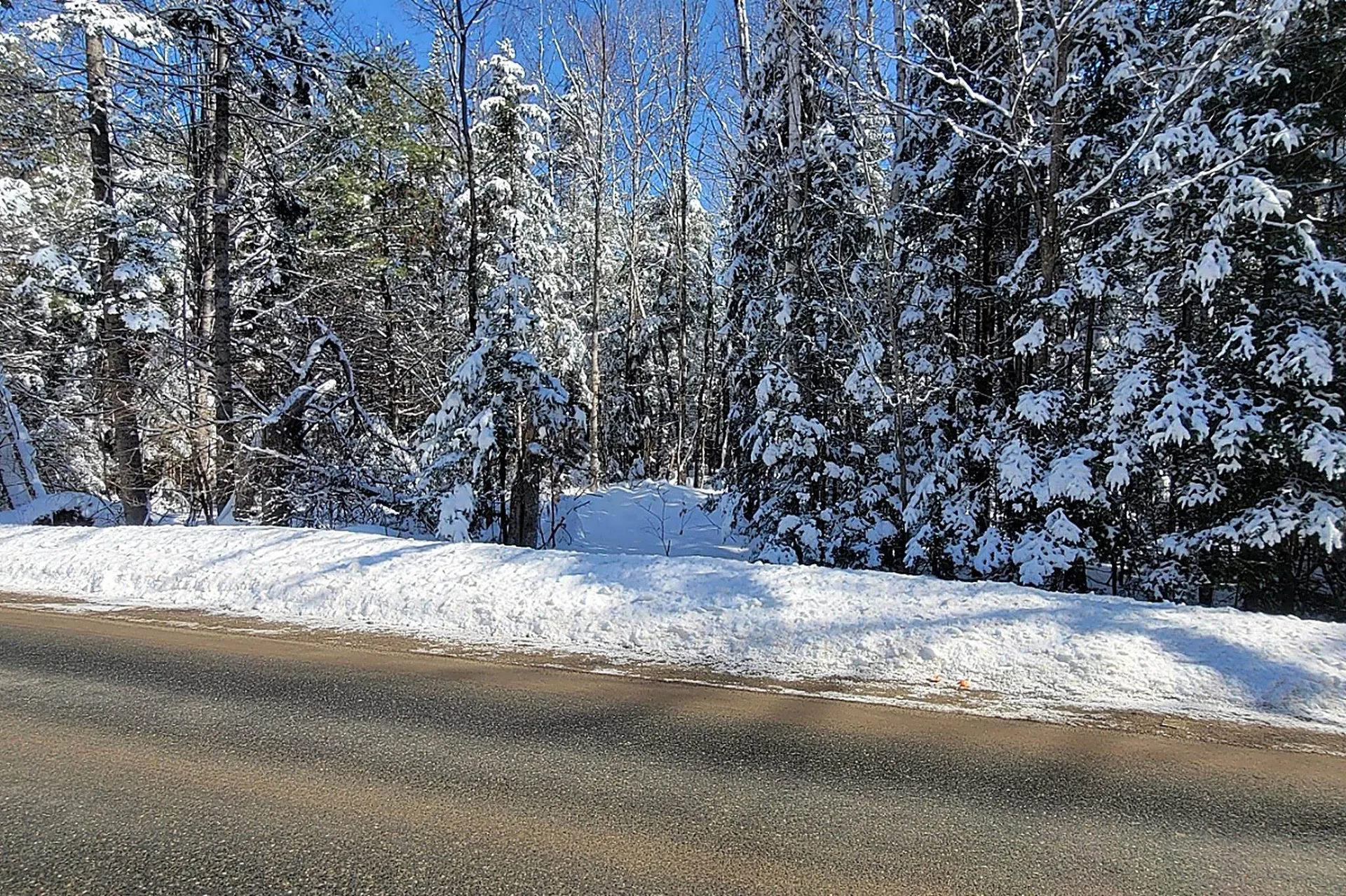 000 French Pond Road Haverhill NH 03765