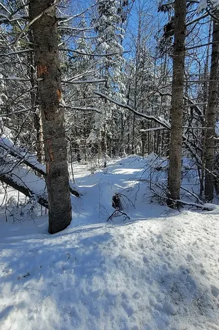 000 French Pond Road Haverhill NH 03765