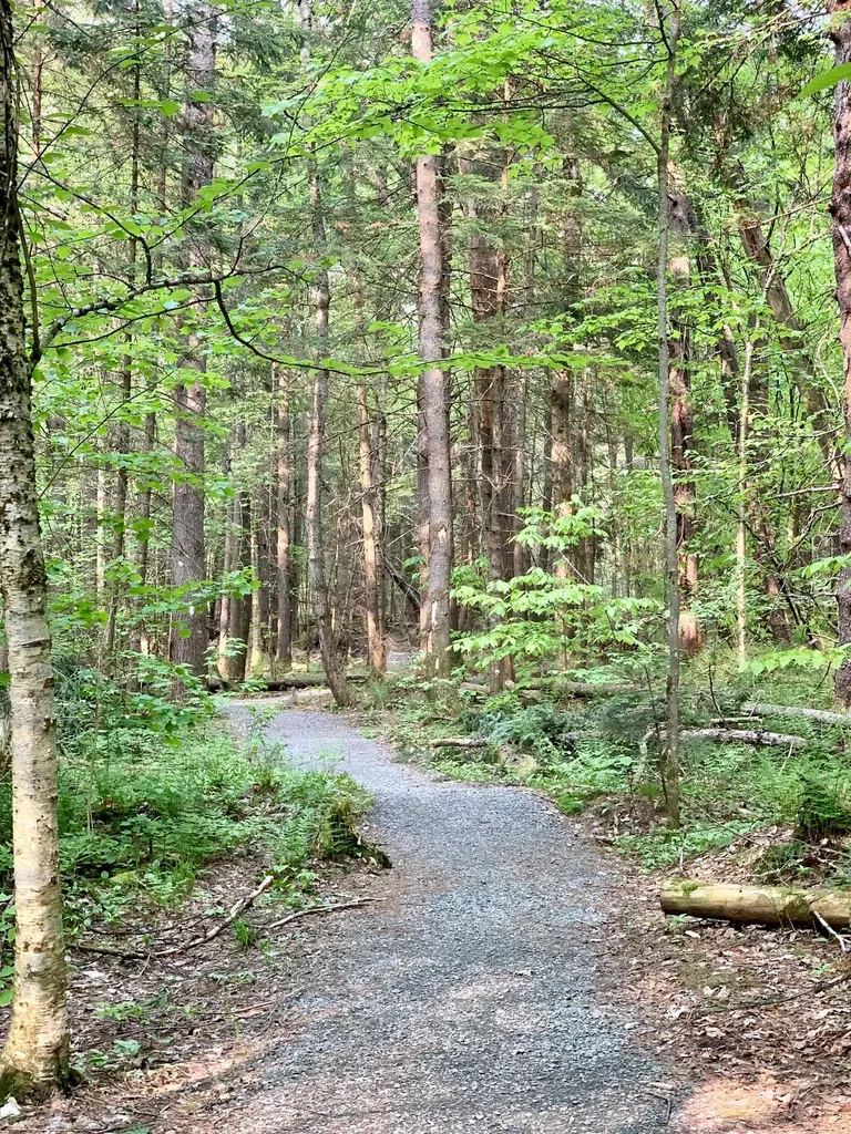 0 Cannon View Drive Sugar Hill NH 03586