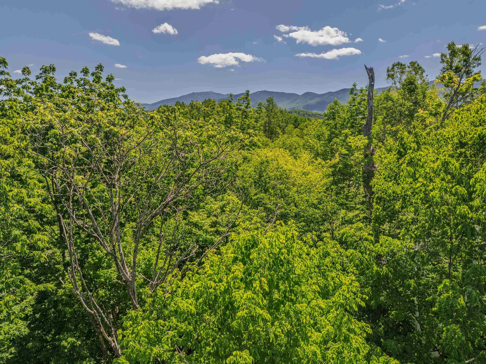 0 Cannon View Drive Sugar Hill NH 03586