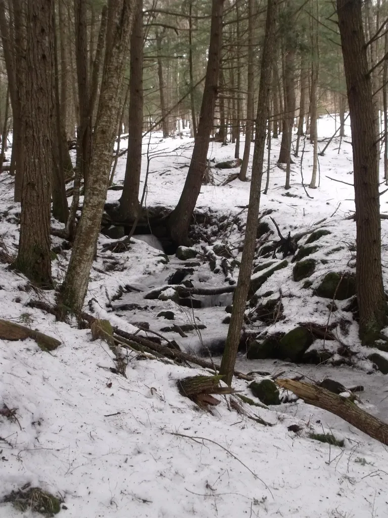 3186 South Road Woodstock VT 05091