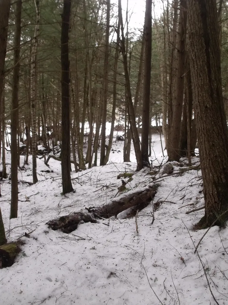 3186 South Road Woodstock VT 05091