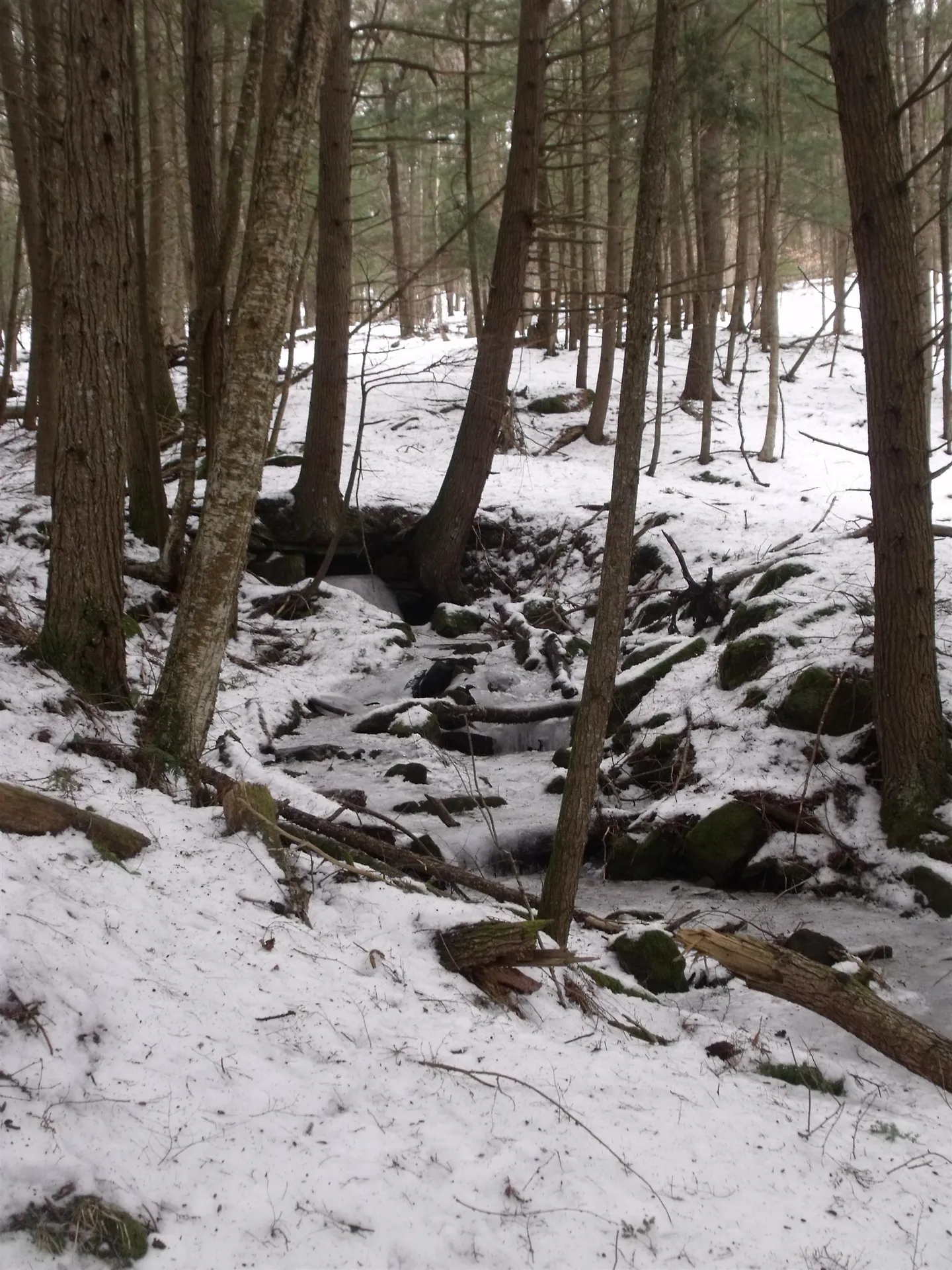 3186 South Road Woodstock VT 05091