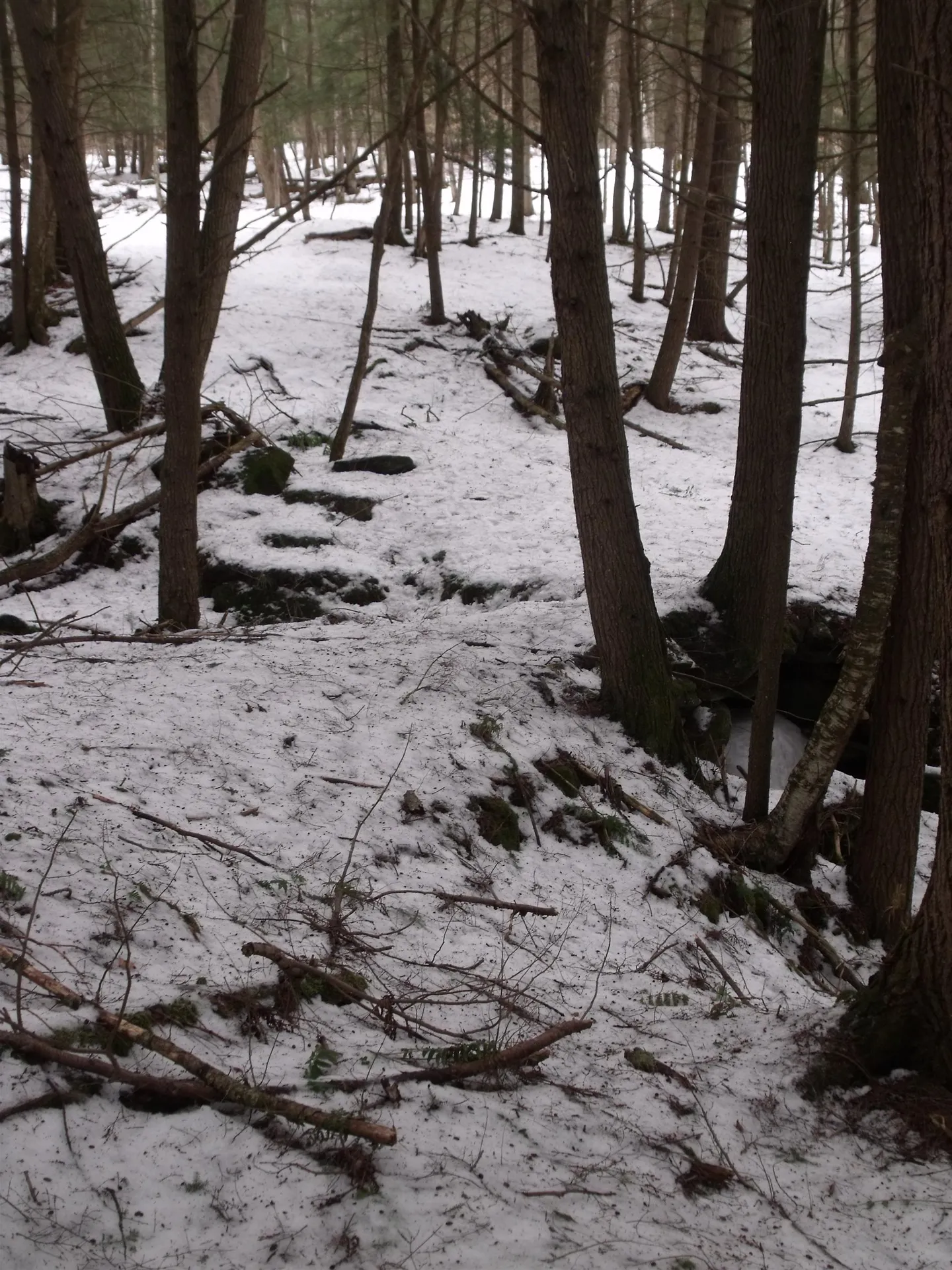 3186 South Road Woodstock VT 05091