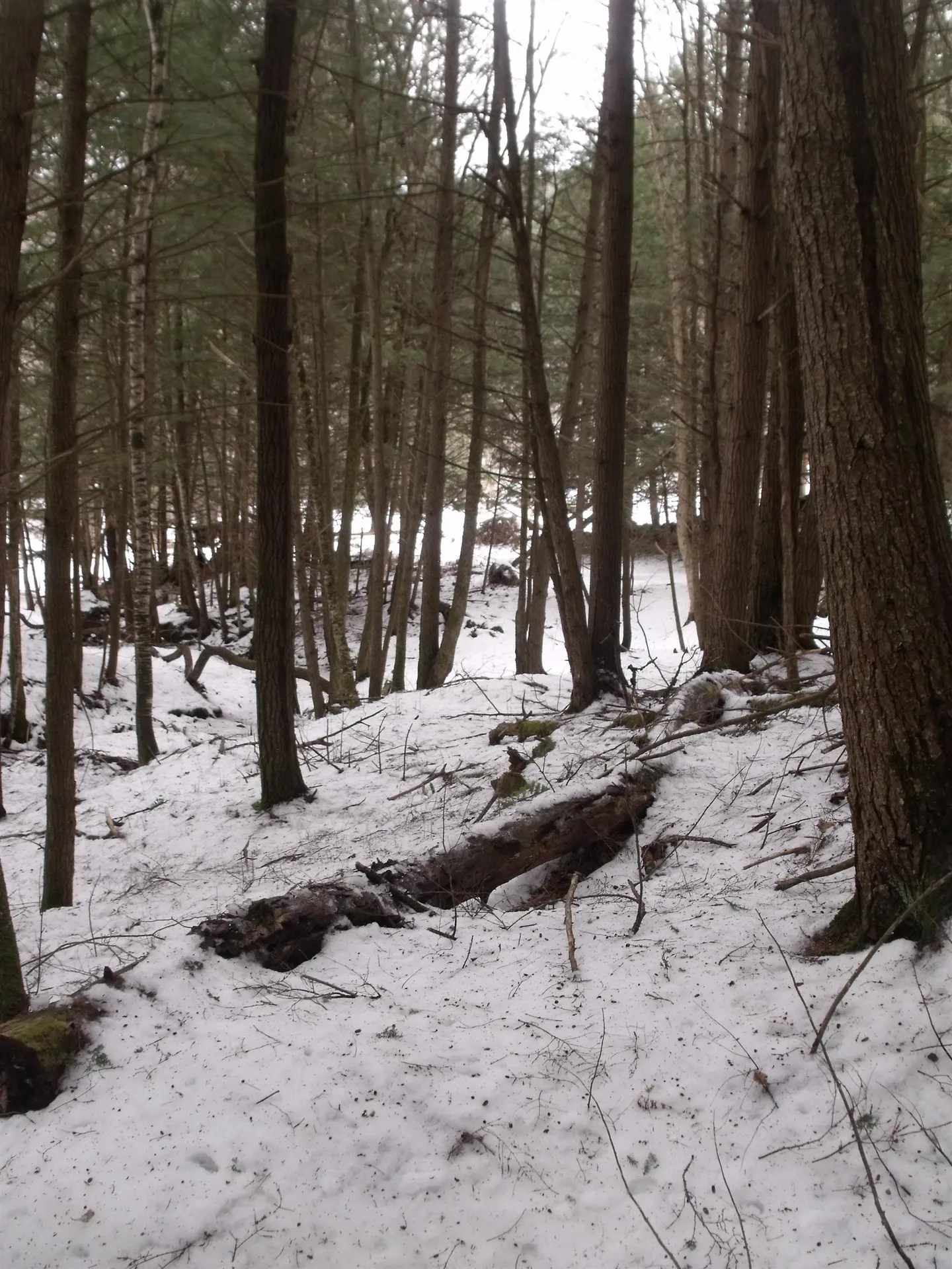 3186 South Road Woodstock VT 05091