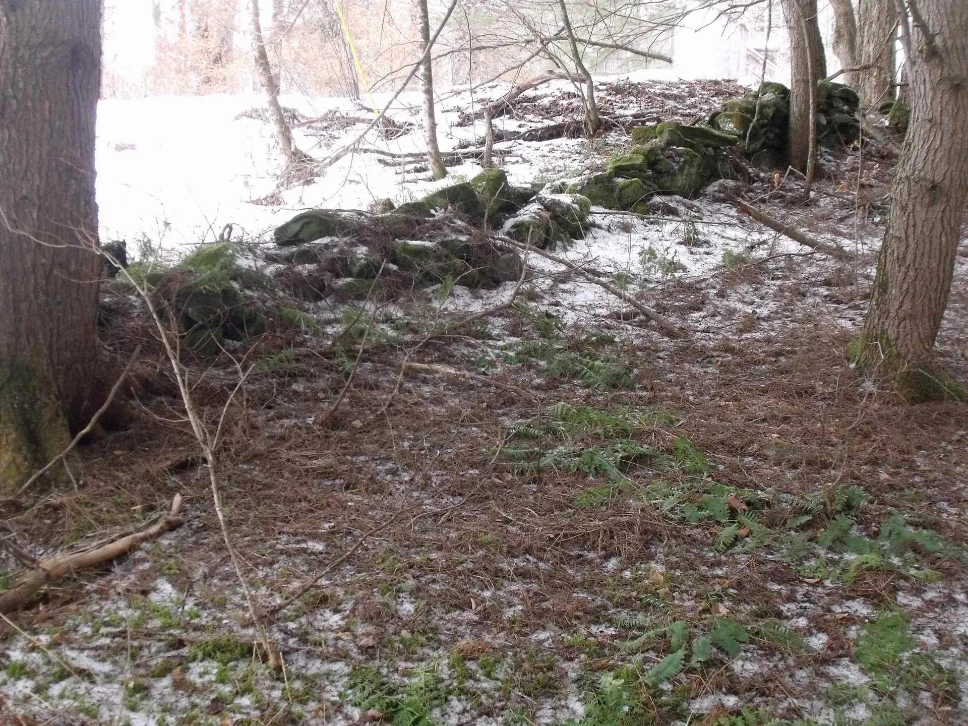 3186 South Road Woodstock VT 05091