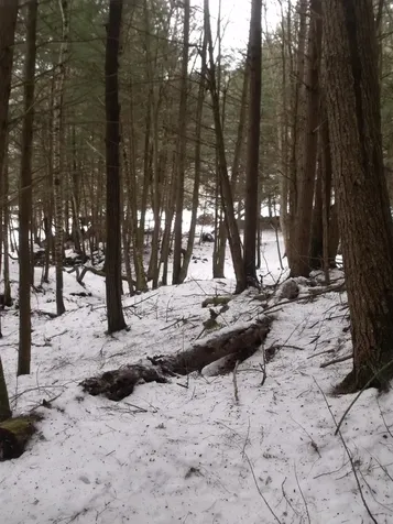 3186 South Road Woodstock VT 05091