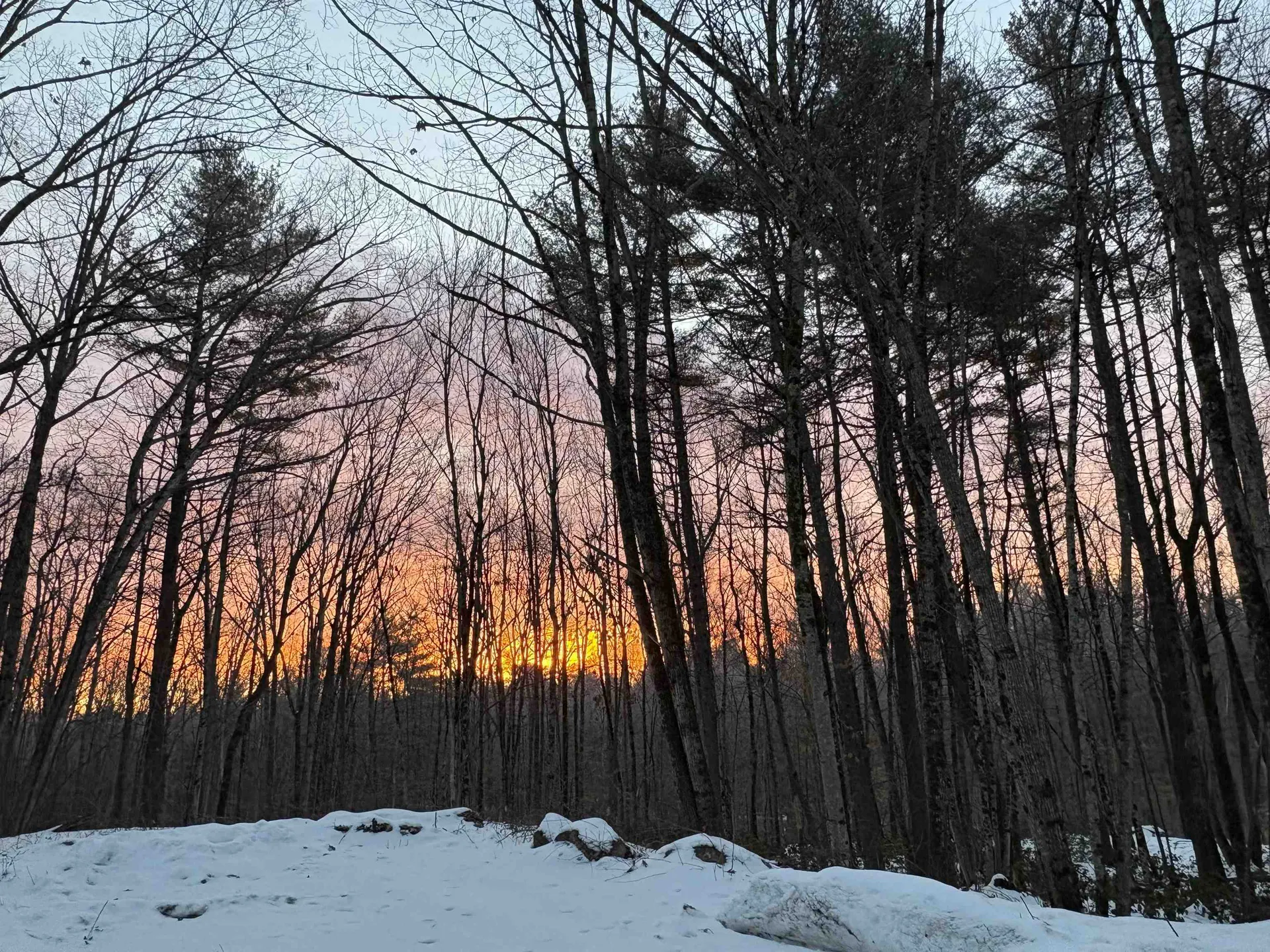 147 Rocky Pond Road Hollis NH 03049