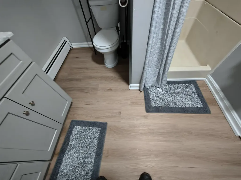 60 Summer Street Bristol NH 03222