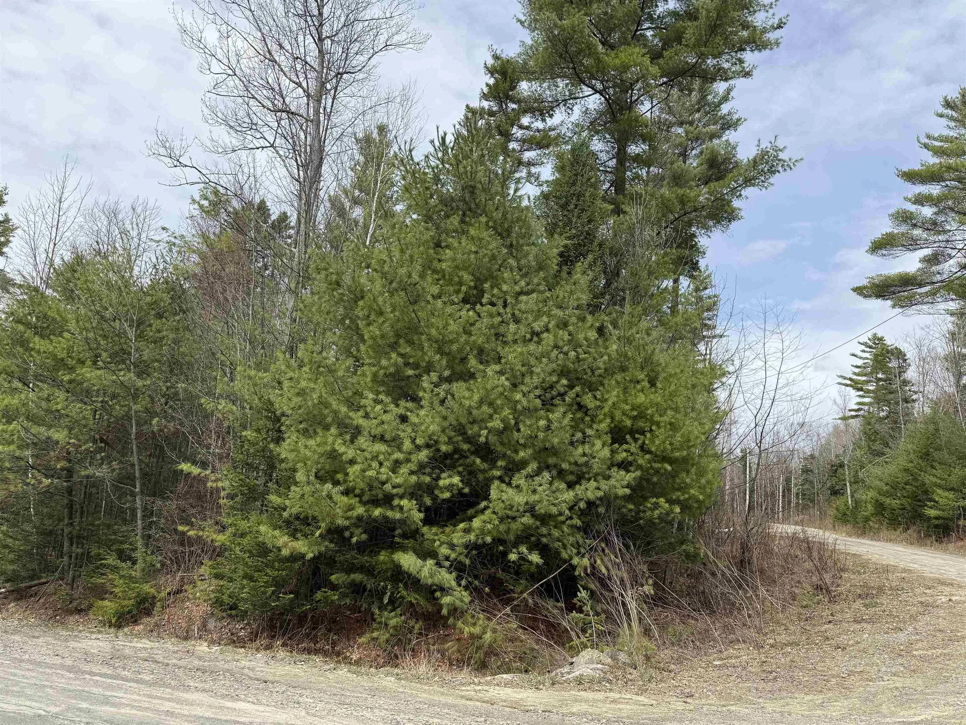 0 Dove And Hawk Lane Canaan NH 03741