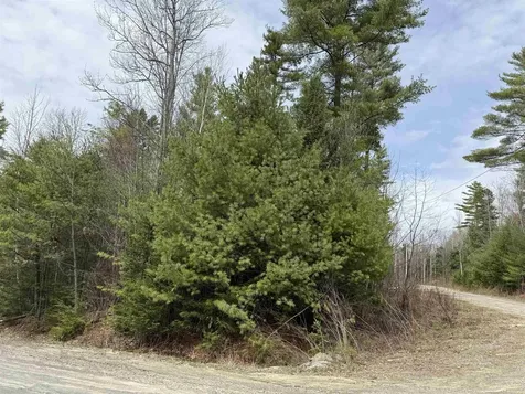 0 Dove And Hawk Lane Canaan NH 03741