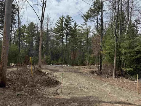 0 Dove And Hawk Lane Canaan NH 03741