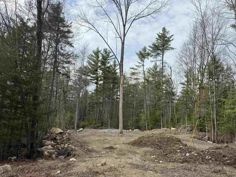 0 Dove And Hawk Lane Canaan NH 03741