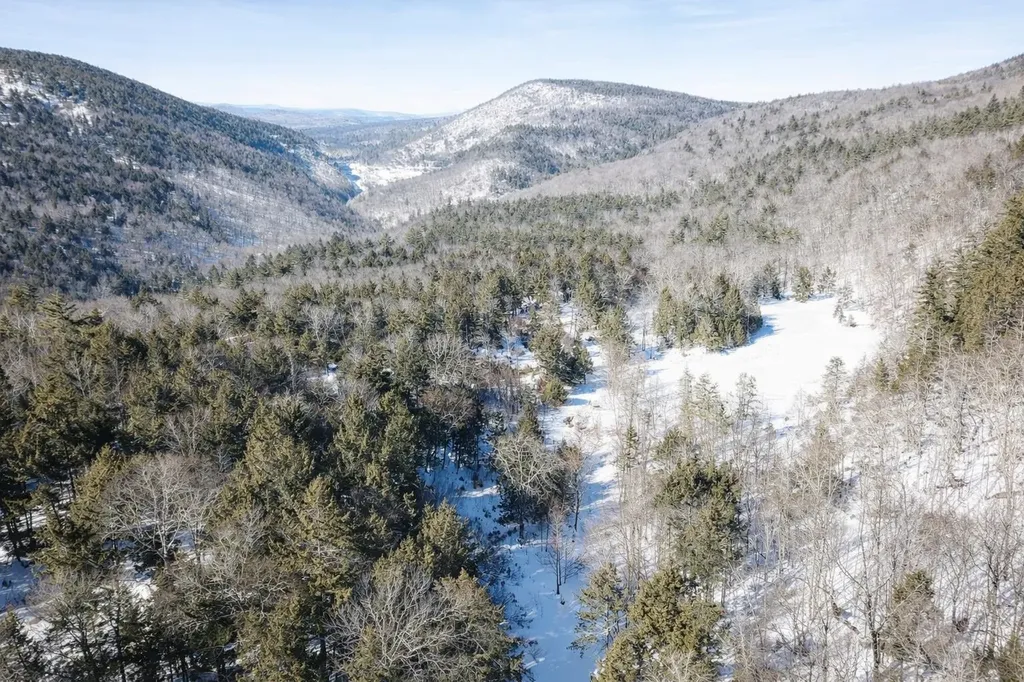 00 Turkey Mountain Road Jamaica VT 05343