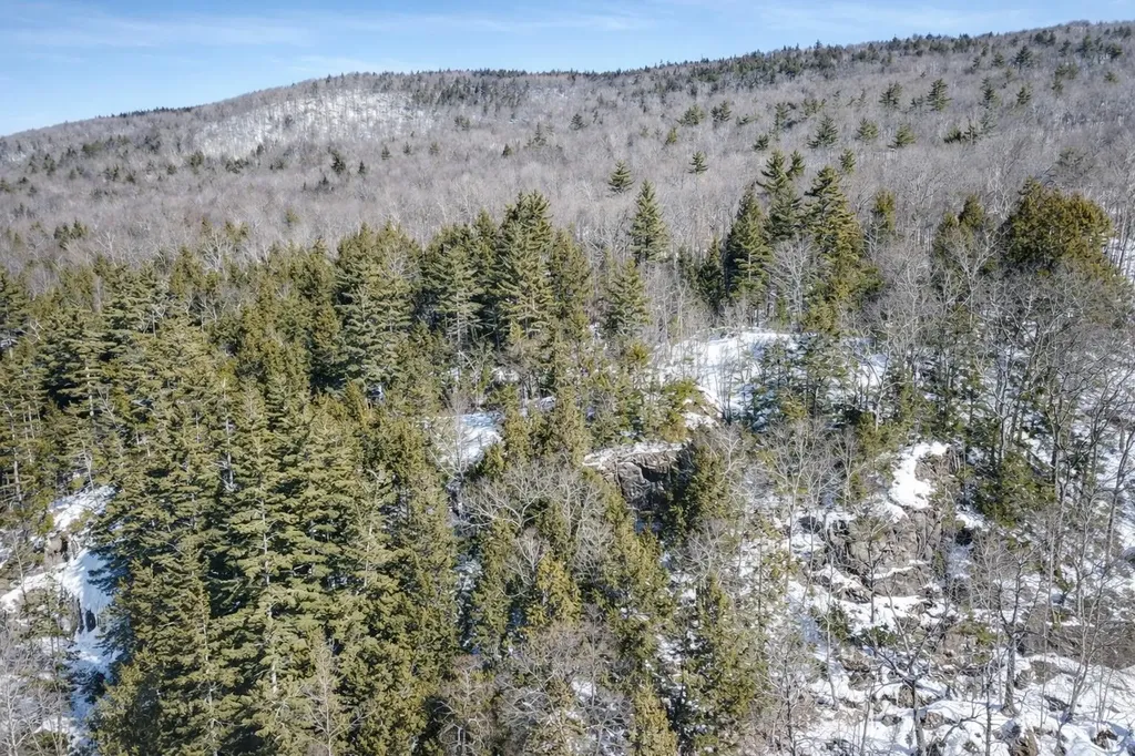 00 Turkey Mountain Road Jamaica VT 05343