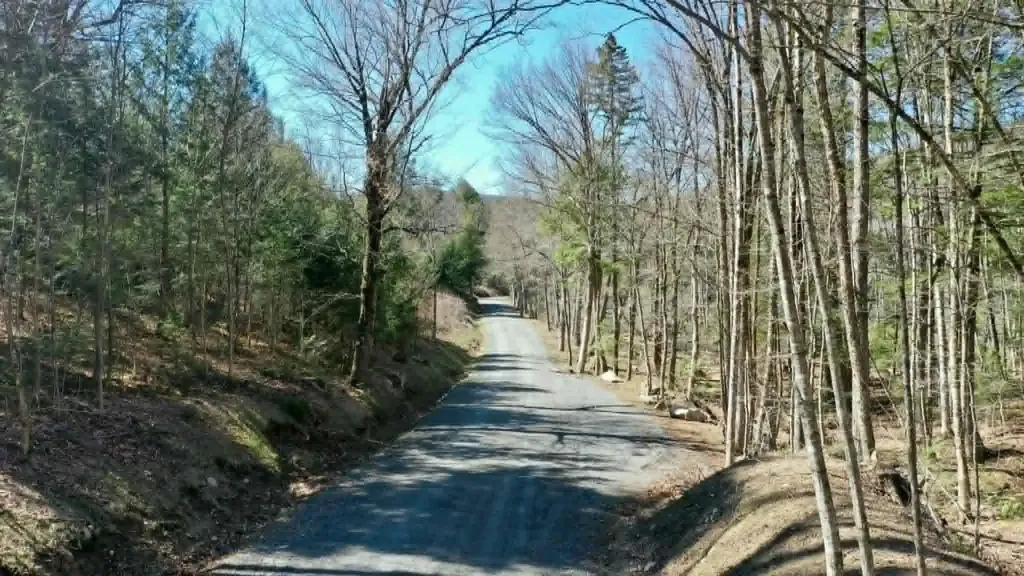 00 Turkey Mountain Road Jamaica VT 05343