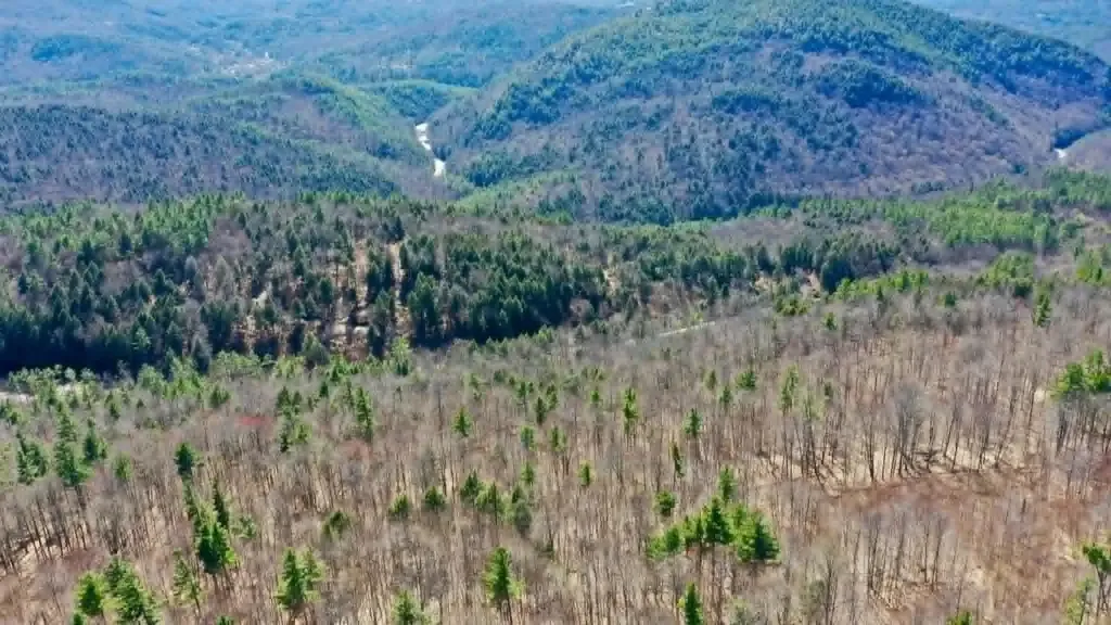 00 Turkey Mountain Road Jamaica VT 05343