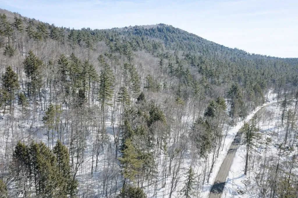 00 Turkey Mountain Road Jamaica VT 05343