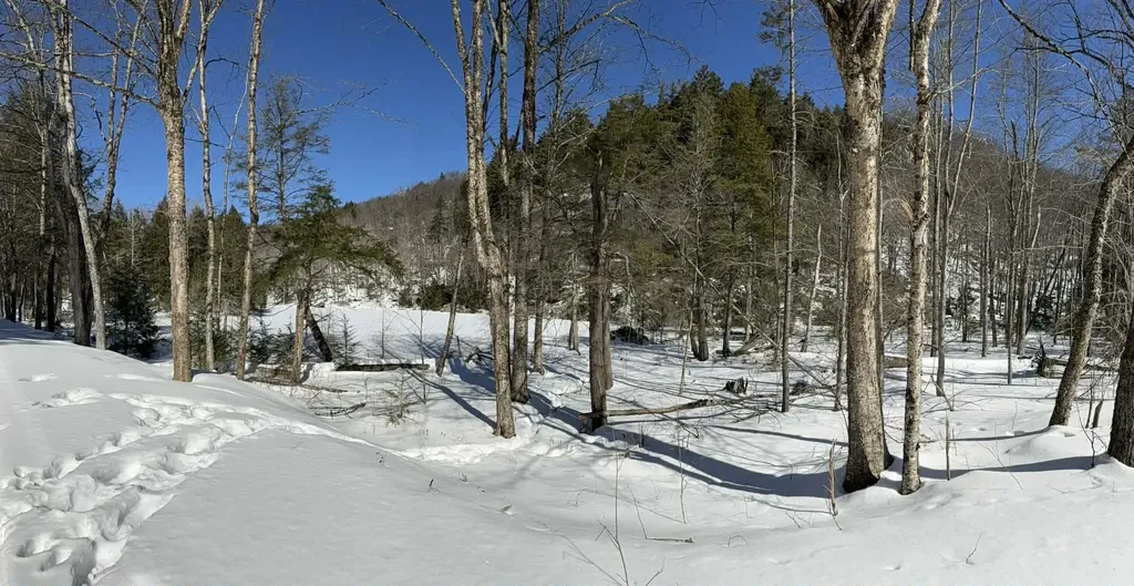 00 Turkey Mountain Road Jamaica VT 05343