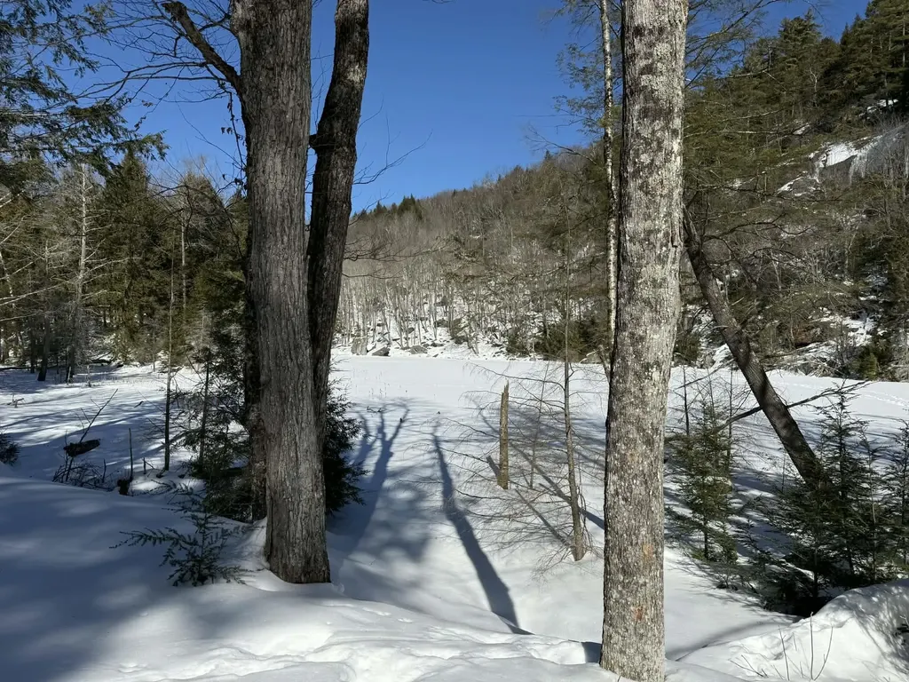 00 Turkey Mountain Road Jamaica VT 05343