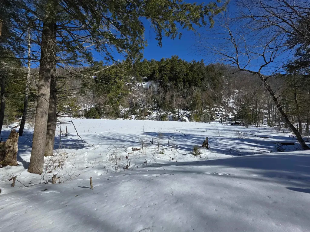 00 Turkey Mountain Road Jamaica VT 05343