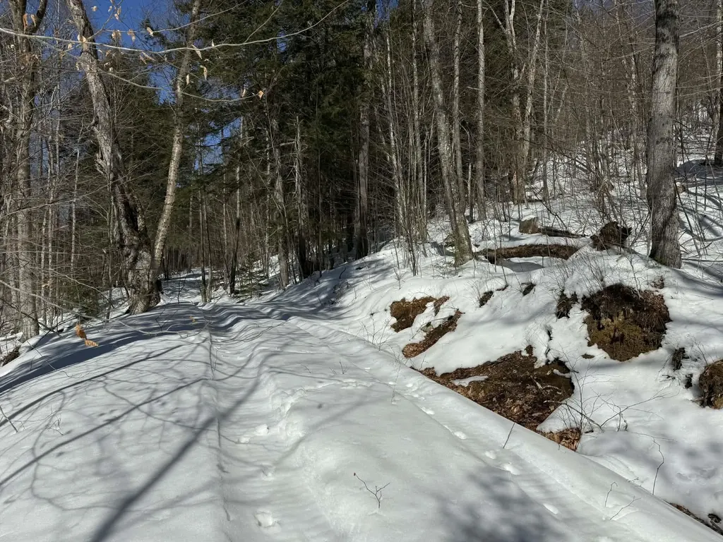 00 Turkey Mountain Road Jamaica VT 05343