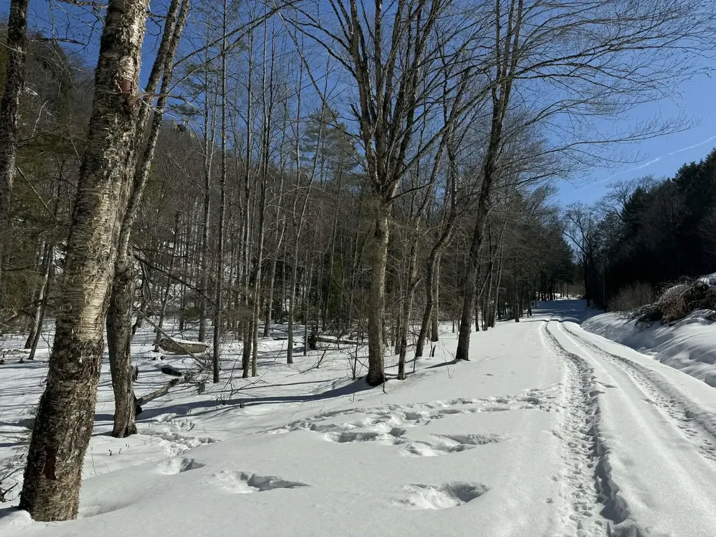 00 Turkey Mountain Road Jamaica VT 05343
