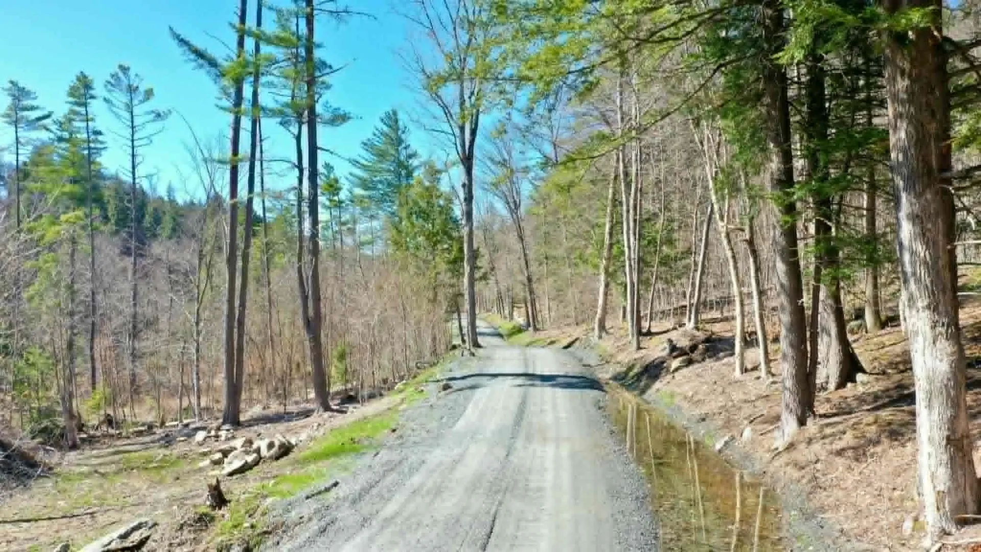 00 Turkey Mountain Road Jamaica VT 05343