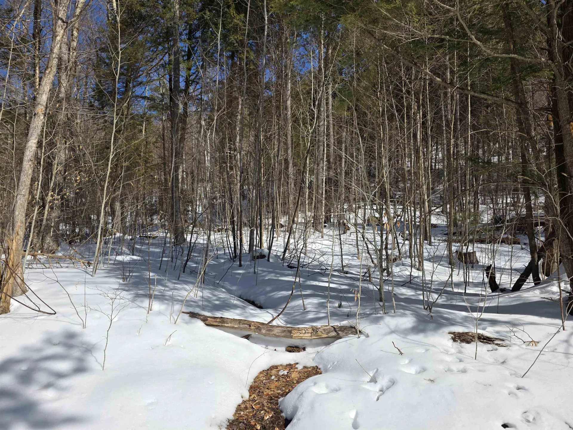 00 Turkey Mountain Road Jamaica VT 05343