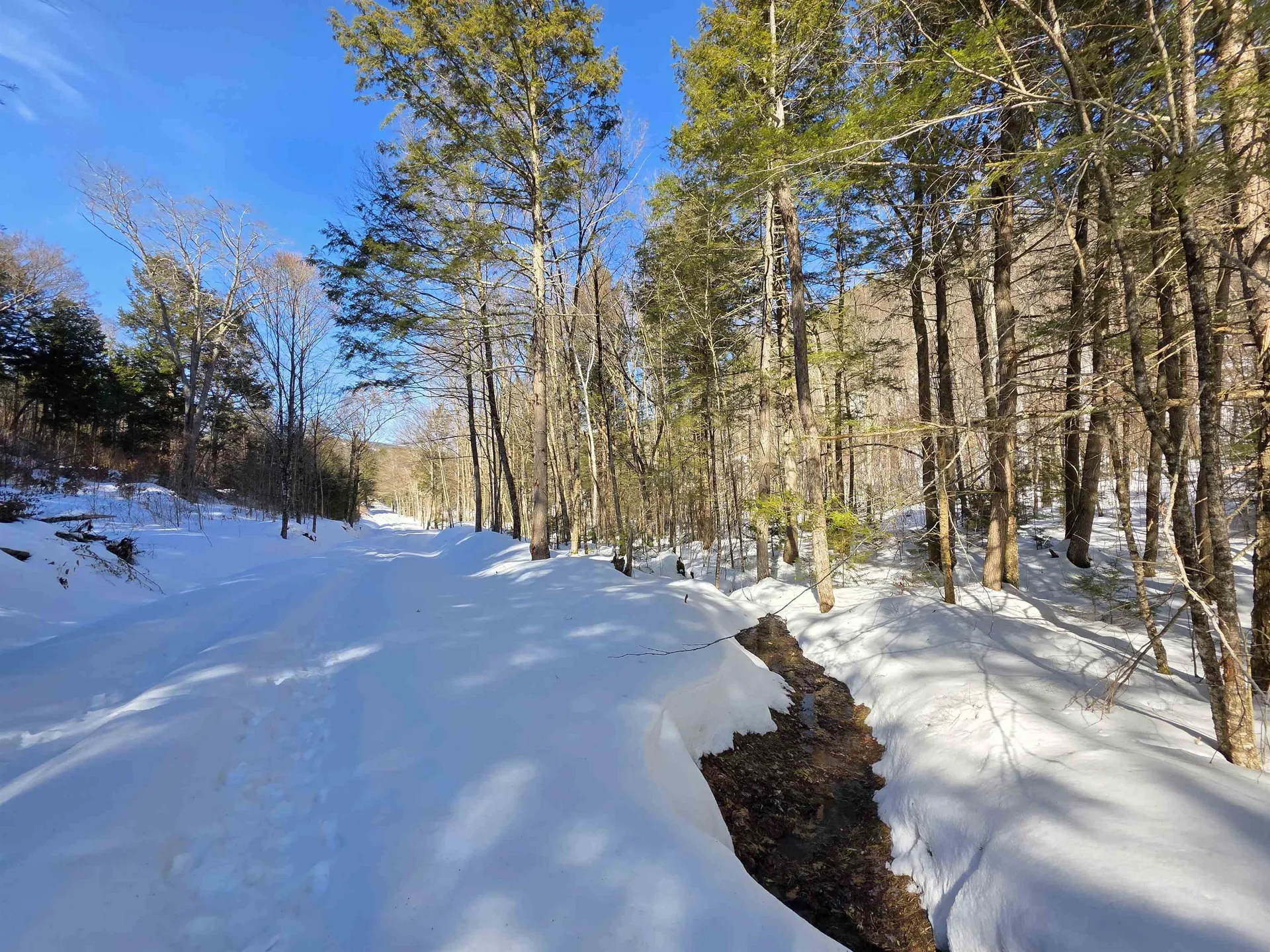 00 Turkey Mountain Road Jamaica VT 05343