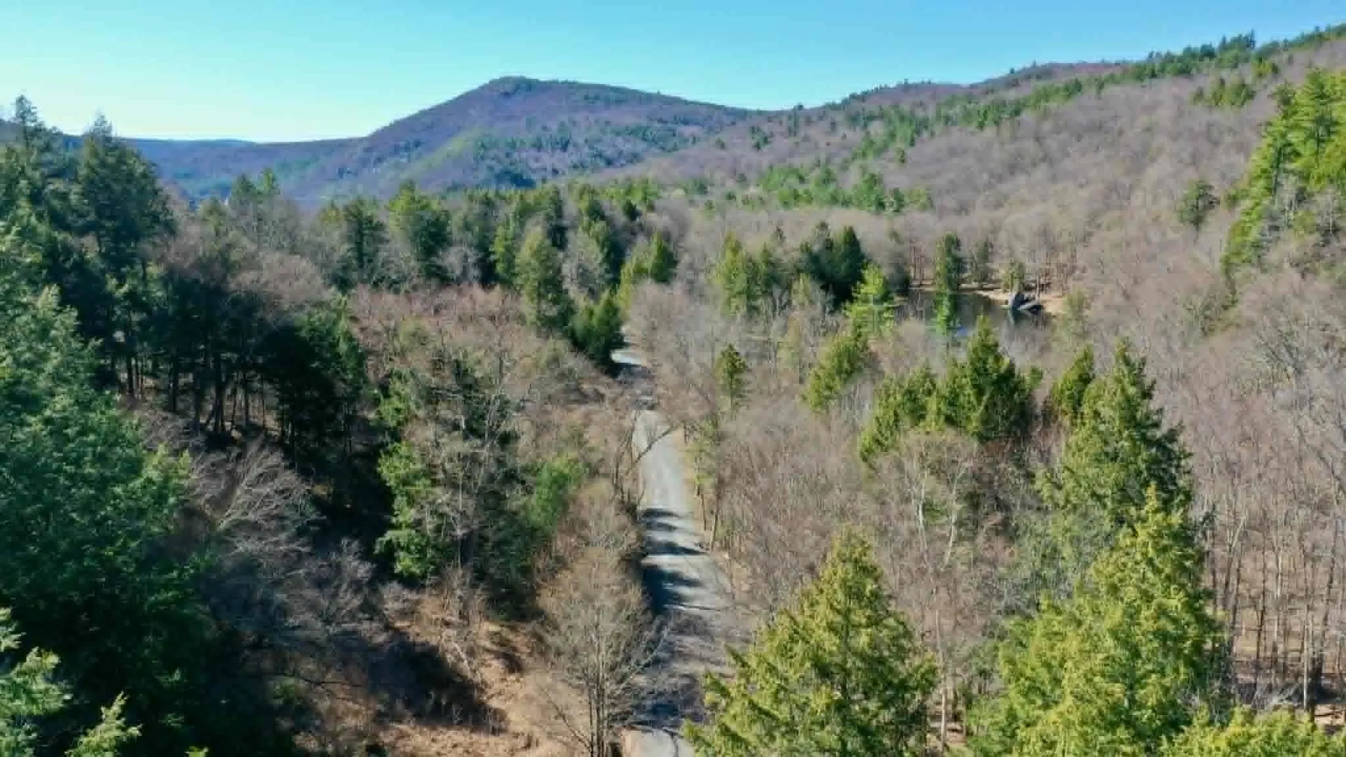 00 Turkey Mountain Road Jamaica VT 05343