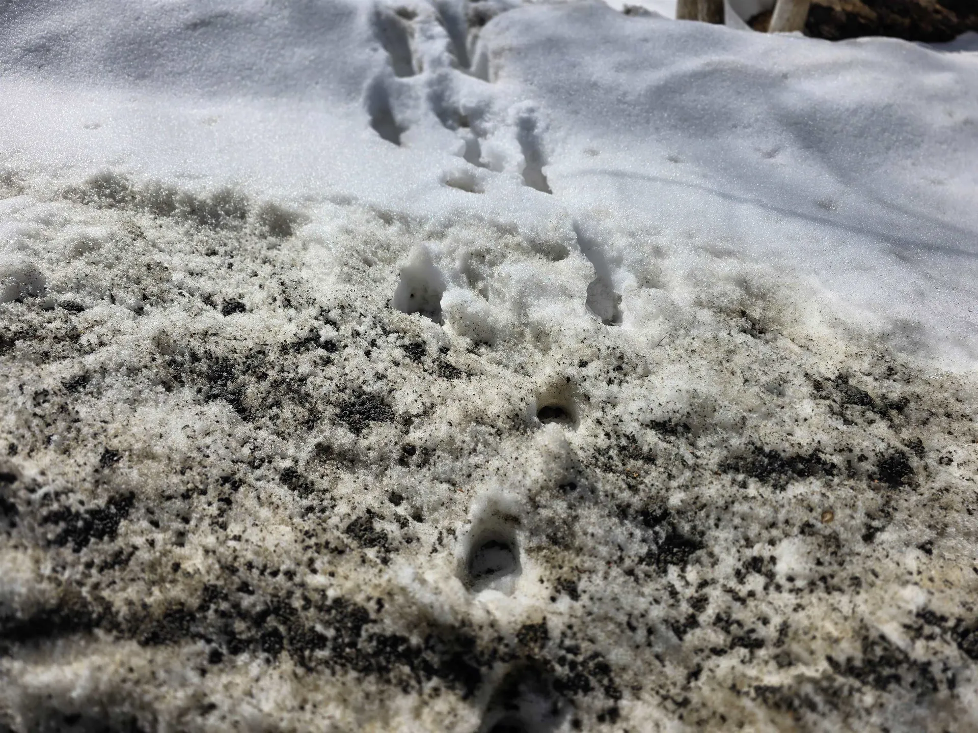 00 Turkey Mountain Road Jamaica VT 05343