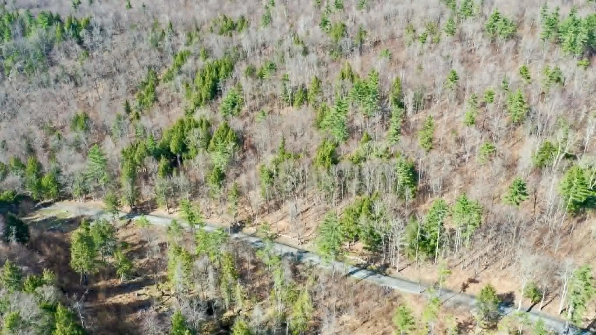 00 Turkey Mountain Road Jamaica VT 05343
