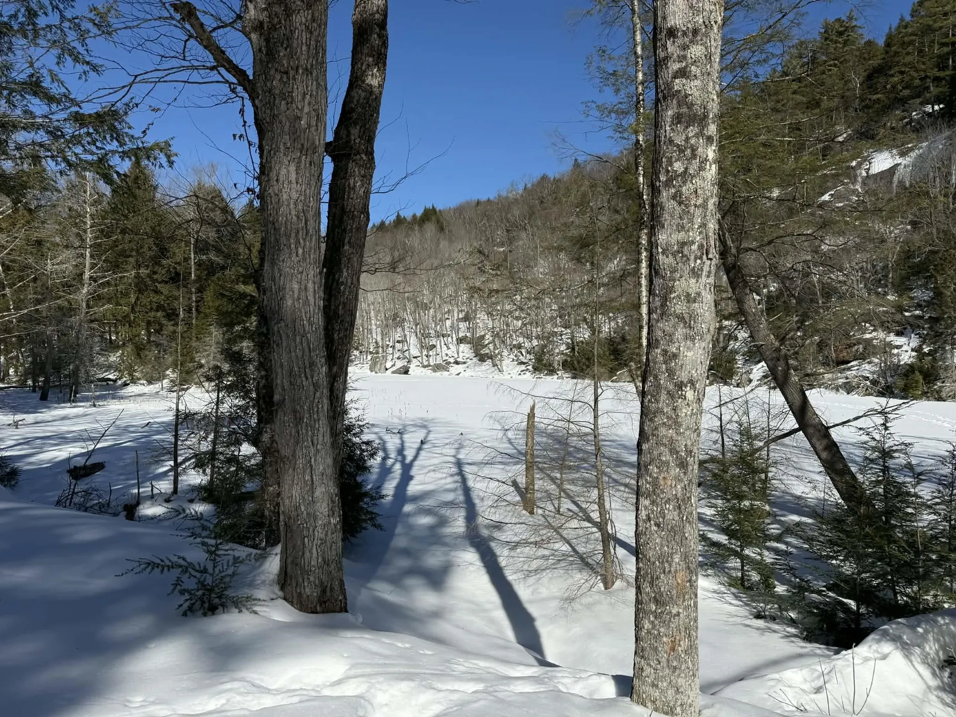 00 Turkey Mountain Road Jamaica VT 05343