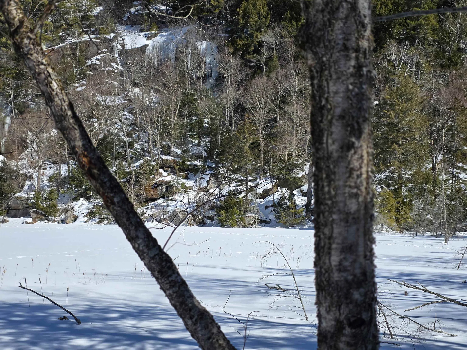 00 Turkey Mountain Road Jamaica VT 05343