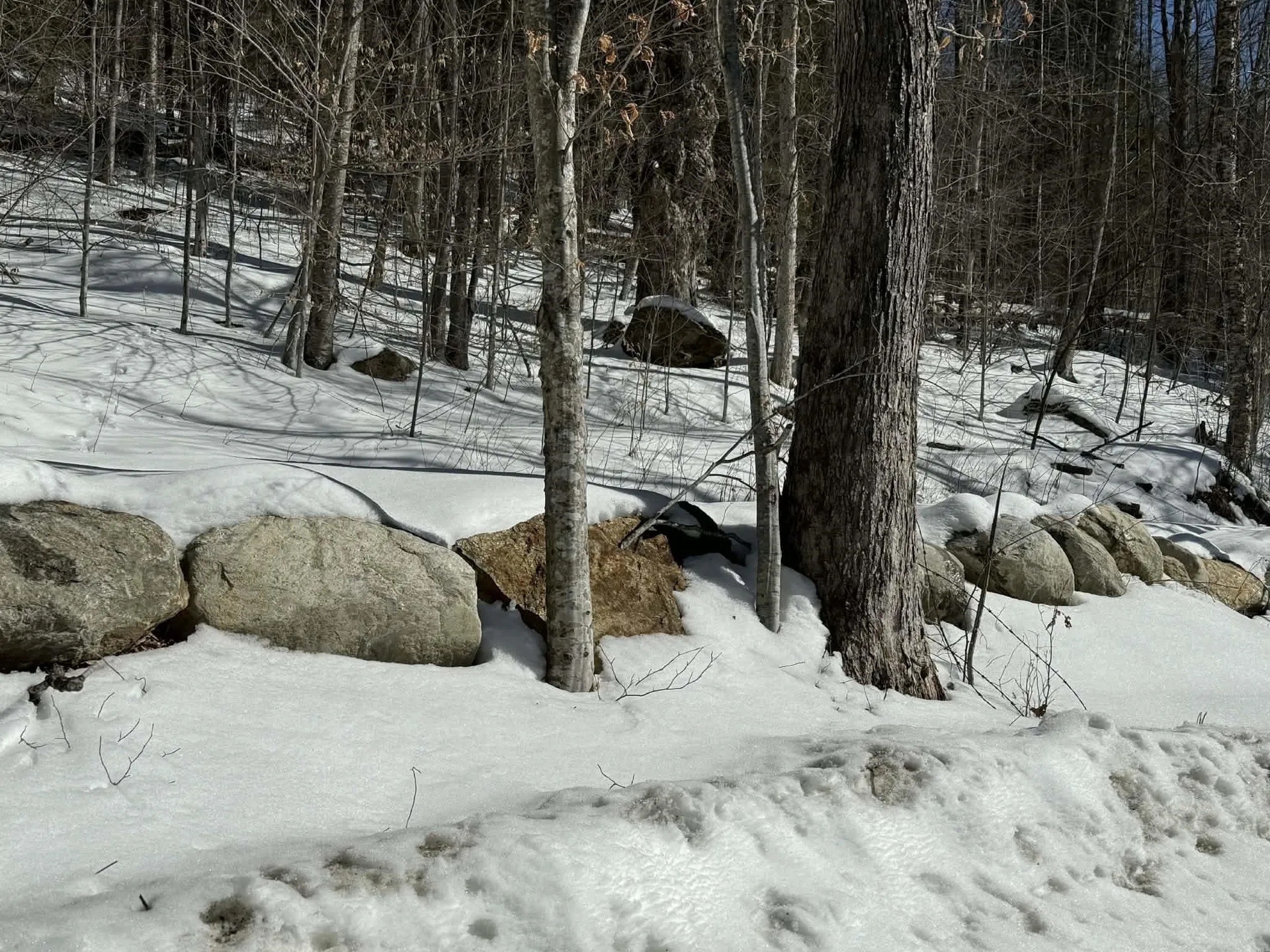 00 Turkey Mountain Road Jamaica VT 05343