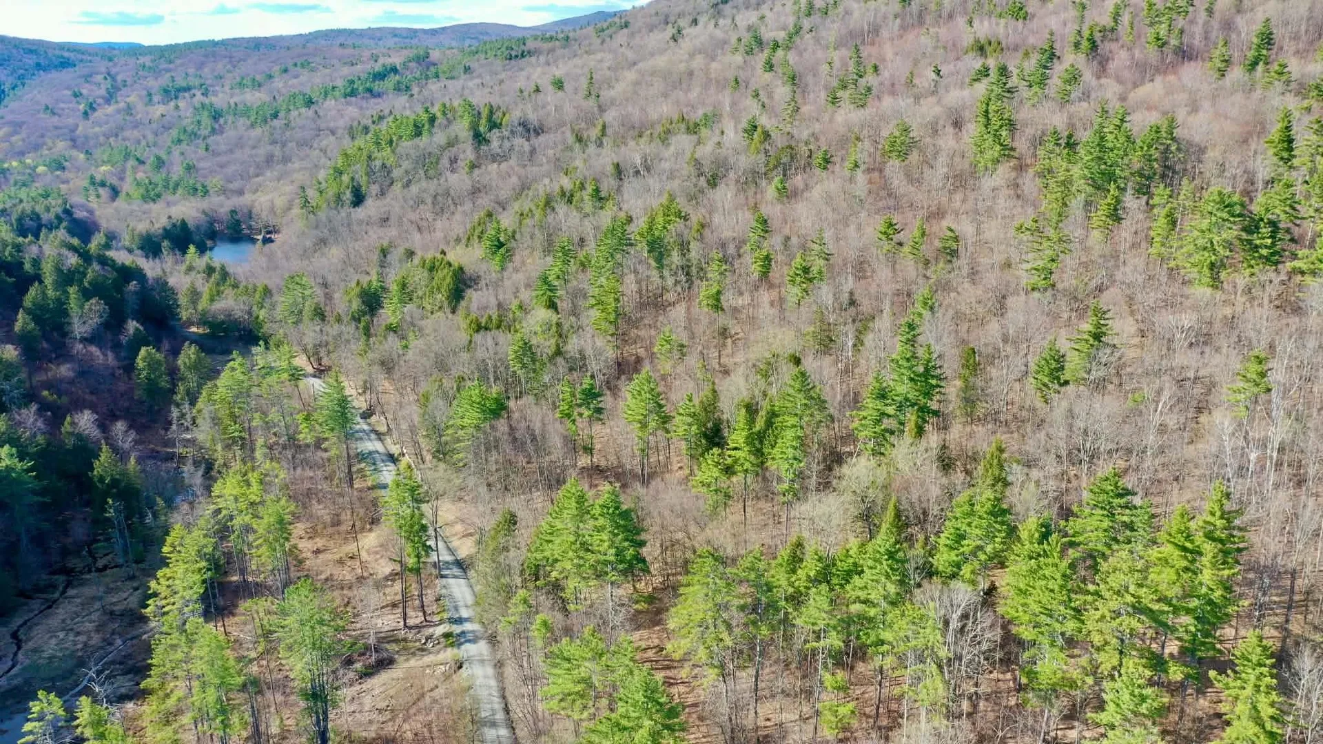 00 Turkey Mountain Road Jamaica VT 05343