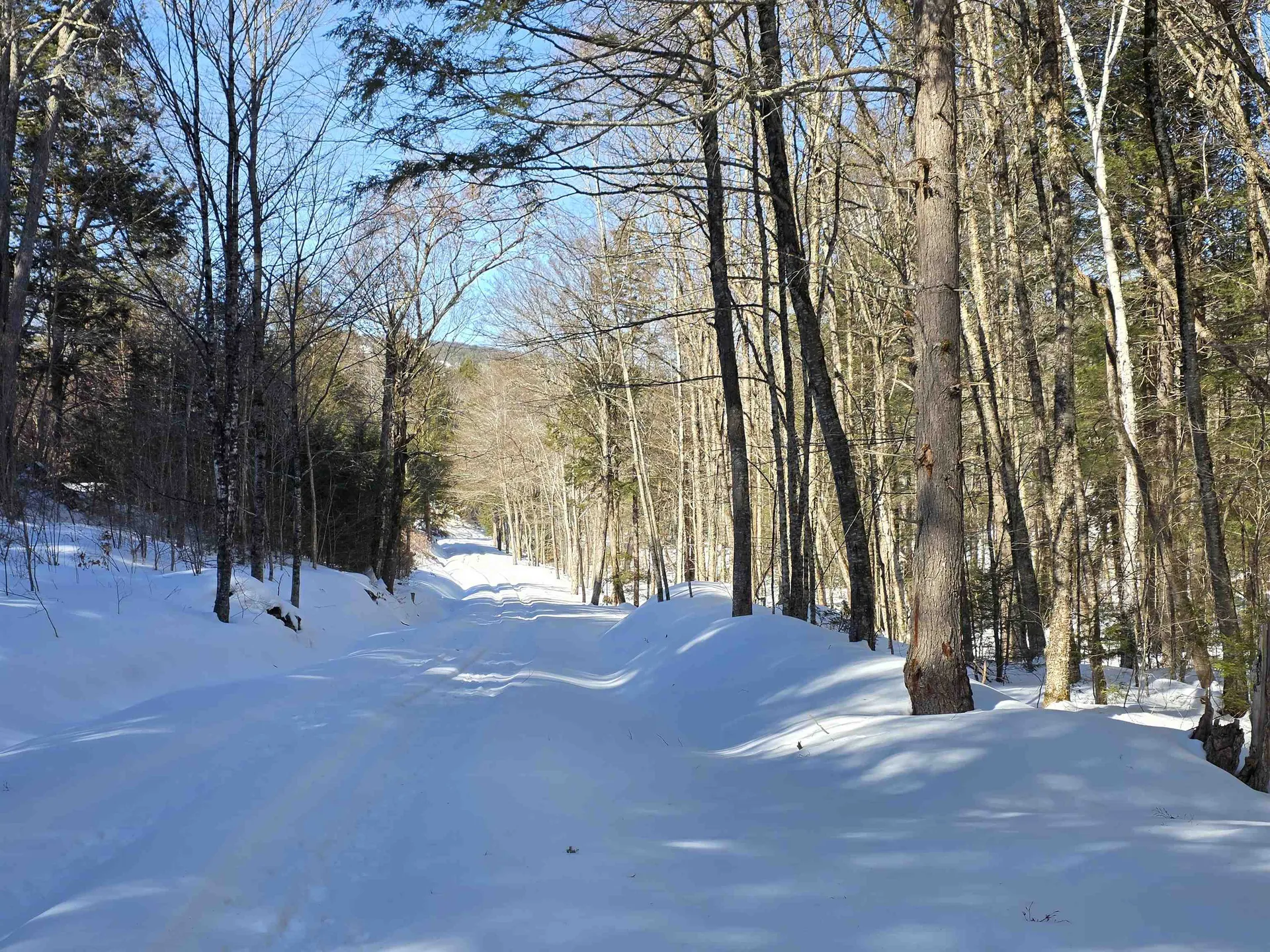 00 Turkey Mountain Road Jamaica VT 05343