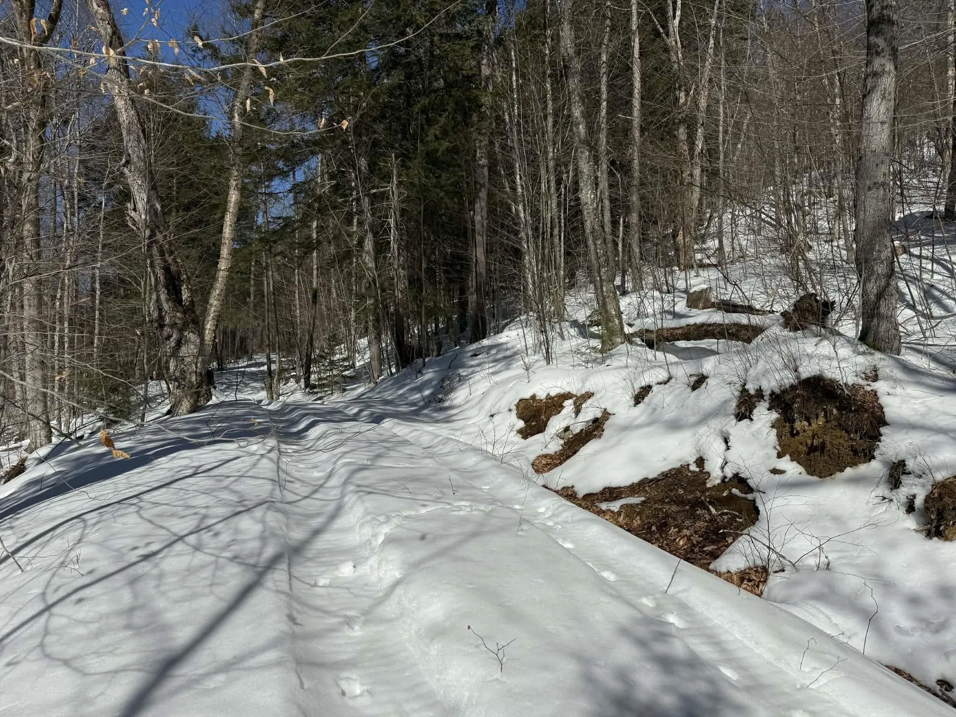 00 Turkey Mountain Road Jamaica VT 05343