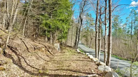 00 Turkey Mountain Road Jamaica VT 05343