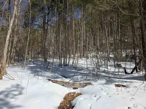 00 Turkey Mountain Road Jamaica VT 05343