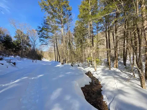 00 Turkey Mountain Road Jamaica VT 05343