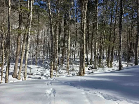 00 Turkey Mountain Road Jamaica VT 05343