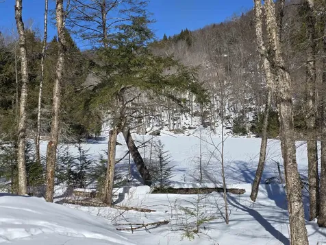 00 Turkey Mountain Road Jamaica VT 05343