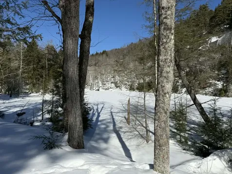 00 Turkey Mountain Road Jamaica VT 05343