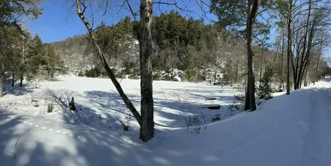 00 Turkey Mountain Road Jamaica VT 05343