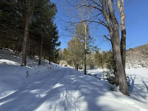 00 Turkey Mountain Road Jamaica VT 05343