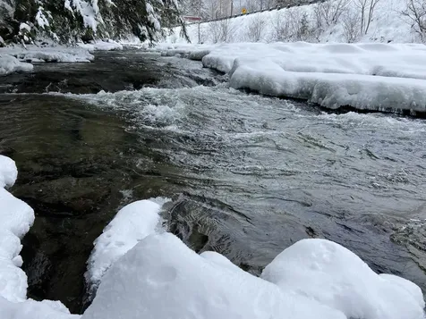 0 Fall Brook Road Wheelock VT 05851-000